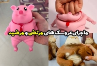 عروسک موهن, مرضیه مرتضی