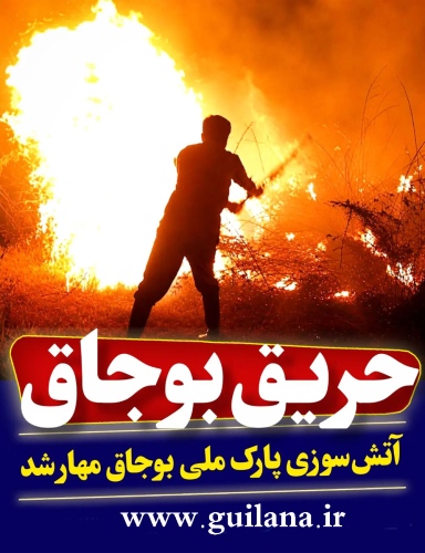 آتش سوزی پارک ملی بوجاق کیاشهر