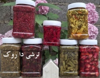 ترشی ارگانیک شمال Torshi