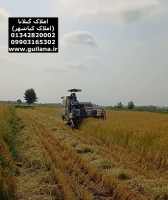 آموزش برداشت برنج