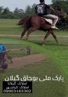 پارک ملی بوجاق کیاشهر